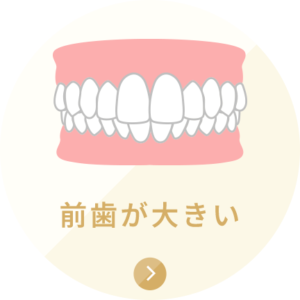 前歯が大きい